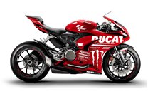 Painted Race Fairings Ducati Panigale V2 2020 - 2022 - MXPCRV14211
