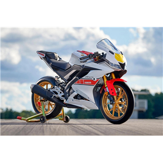 Ducati 1098 Honda CBR600F Kawasaki Ninja CBR600F Motorrad Verkleidungs