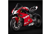 Lackierte Straße Verkleidung auf ABS kompatibel mit Ducati Panigale V4 V4S 2022 - 2024 - MXPCAV17040
