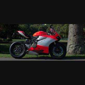 Carenage en abs pour la roue avec peinture compatible avec Ducati 899 1199 Panigale - MXPCAV5341